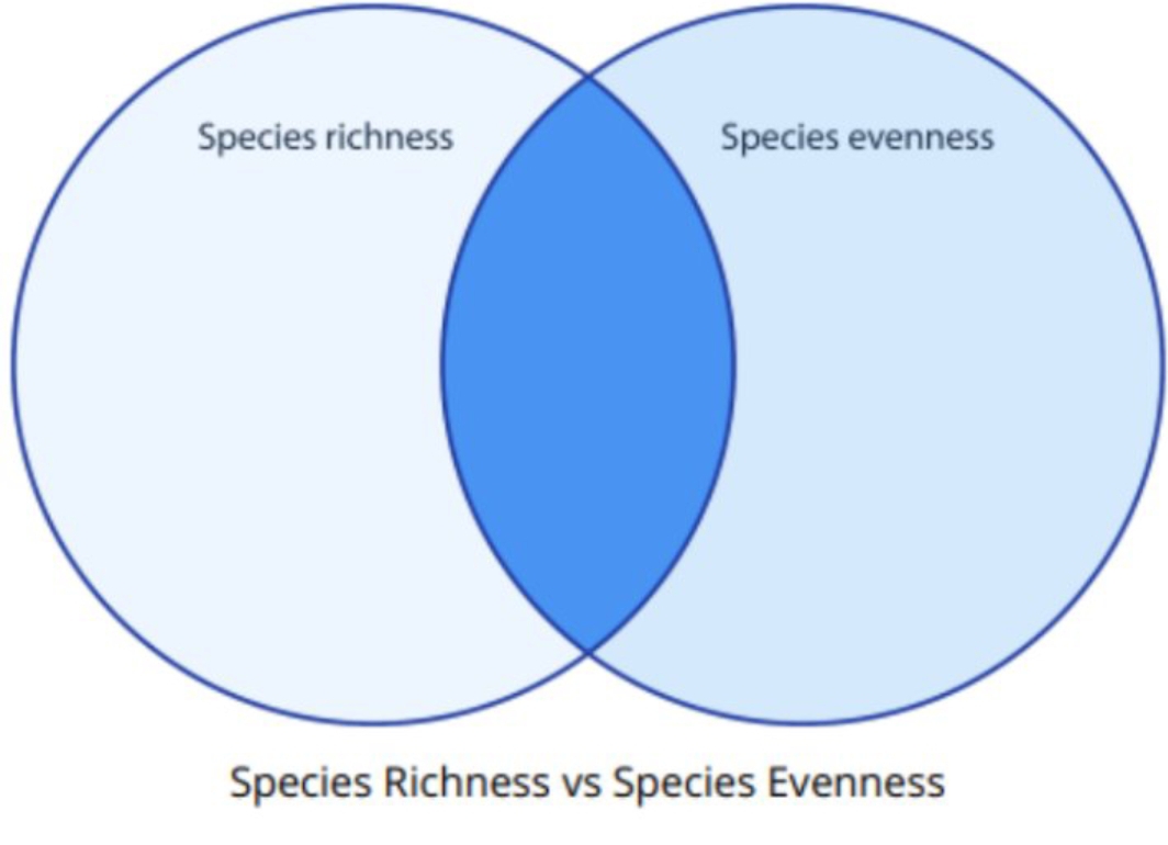 Species richness
Species evenness
Species Richness vs Species Evenness

