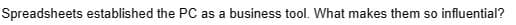 Spreadsheets established the PC as a business tool. What makes them so influential?