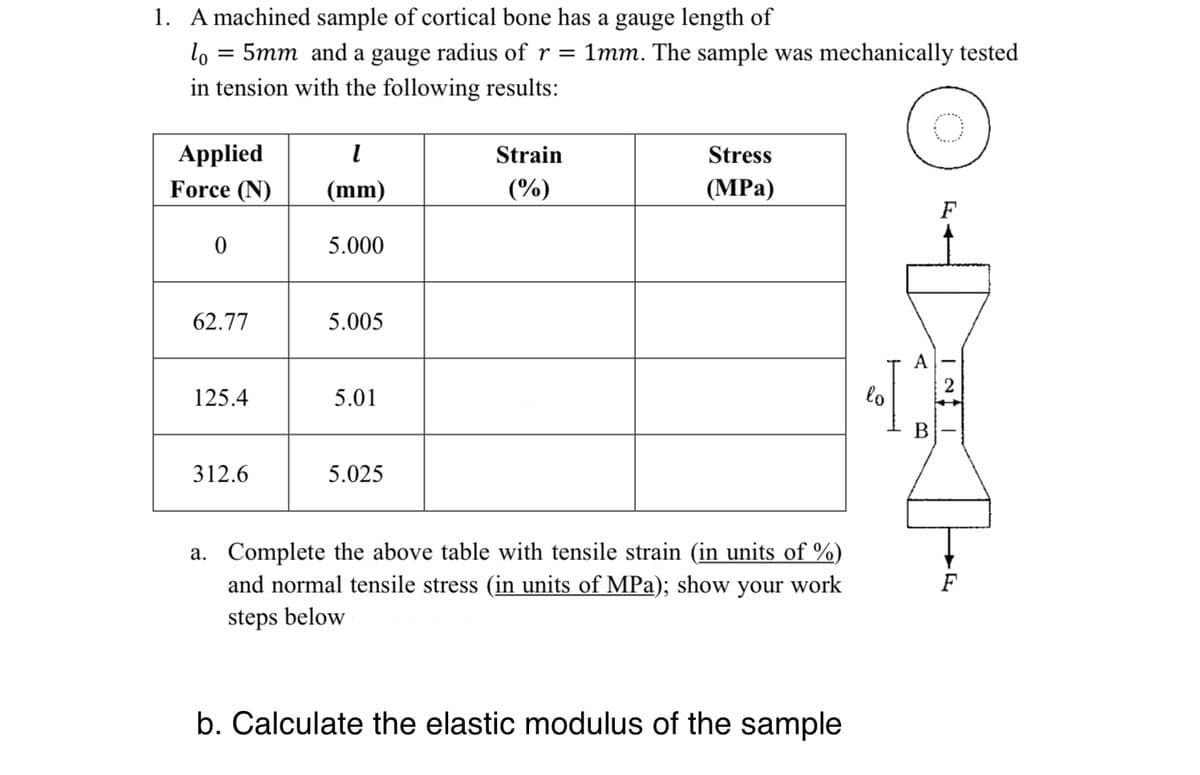 1. A machined sample of cortical bone has a gauge length of
lo
=
5mm and a gauge radius of r = 1mm. The sample was mechanically tested
in tension with the following results:
O
Applied
1
Strain
Stress
Force (N)
(mm)
(%)
(MPa)
0
5.000
62.77
5.005
125.4
5.01
312.6
5.025
a. Complete the above table with tensile strain (in units of %)
and normal tensile stress (in units of MPa); show your work
steps below
b. Calculate the elastic modulus of the sample
lo
A
B
2
F