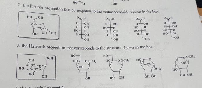 ОН
2. the Fischer projection that corresponds to the monosaccharide shown in the box.
О н
HO OH
но-
OH
НО
0
OH OH OH
H-OH
-ОН
3. the Haworth projection that corresponds to the structure shown in the box.
OCH,
НО
OH
athul algasida
О Н
H-OH
H-OH
но-н
но-
HO -O OCH,
OH
O H
H-OH
НО-Н
H-OH
H-OH
OH
ОН
НО
НО OOCH,
HO
H-OH
но-н
но-н
OH
H-OH
OH
НО
OH
OCH,
OH OH
О н
H-OH
H-OH
H
НО
но-н
ОН
НО
-oOCH,
ОН
он он