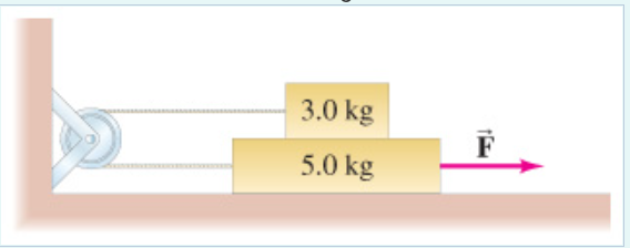 3.0 kg
F
5.0 kg
