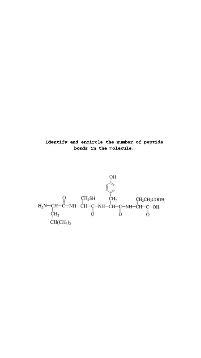 Identify and encircle the number of peptide
bonds in the molecule.
OH
CH,SH
CH,
H;N-CH-C-NH–CH–
CH,CH,COOH
-NH–CH–Ç–OH
-NH-CH-
CH(CH;);
