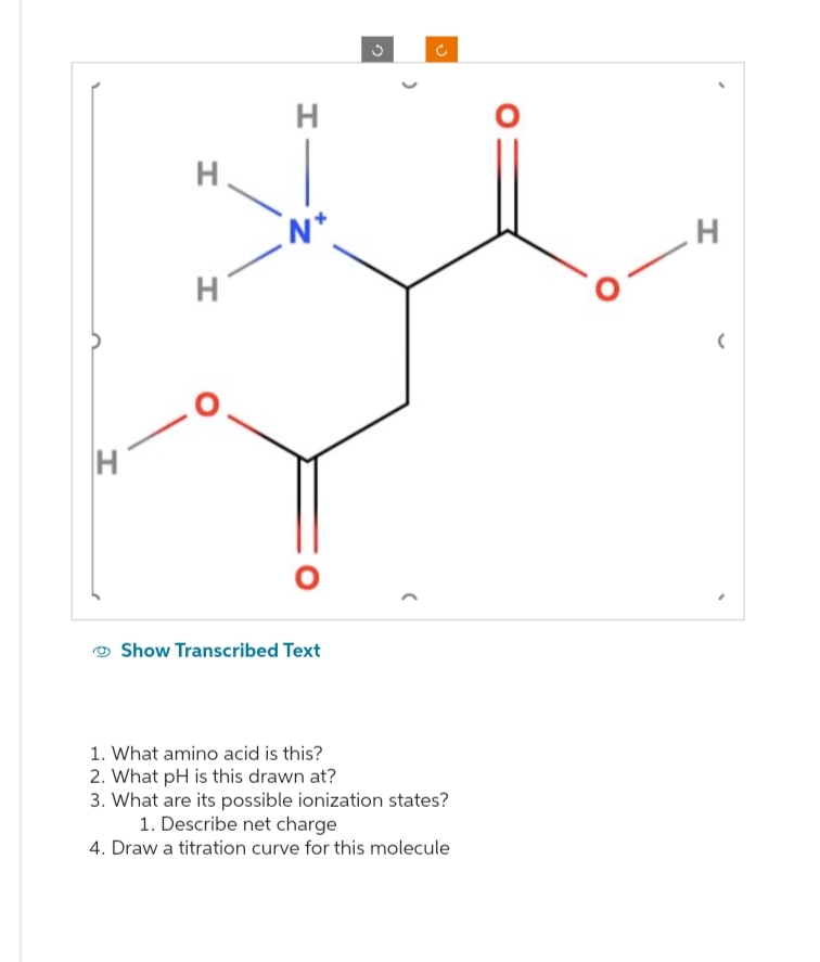 I
I
H
H
N*
Show Transcribed Text
>
(
1. What amino acid is this?
2. What pH is this drawn at?
3. What are its possible ionization states?
1. Describe net charge
4. Draw a titration curve for this molecule
O
H