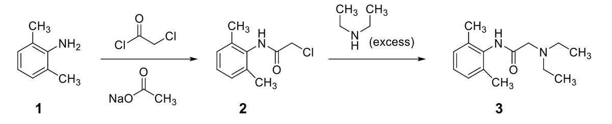 CH3
CH3
NH₂
En L E
CH3
CH3
NaO CH3
1
2
CH3 CH3
(excess)
CH3
CH3
3
CH3
CH3