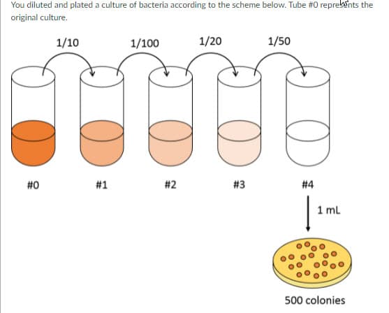 You diluted and plated a culture of bacteria according to the scheme below. Tube #0 reprekents the
original culture.
1/10
1/100
1/20
1/50
#0
#1
# 2
#3
# 4
1 ml
500 colonies
