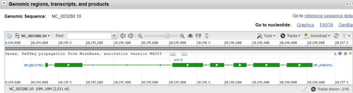 Genomic regions, transcripts, and products
Genomic Sequence: NC_003280.10
0,194,600
NC_003280.10
10,154,000
10,194,800
0,194,600
Find:
10,195 K
NM 063798.1
10,195 K
10,194,800
NC_003280.10: 10M..10M (2,511 nt)
10,195,200
Genes, Refseq propagation from WormBase, annotation version WS283
10,1900
10,195,200
10,195,600
TANA de
10,195,400
10,195,600
0
QAT
10,195,800
www
srb-6
10,195,800
10,196 K
AVON
10,196 K
10,196,200
ww
10,196,200
Go to reference sequence detai
Go to nucleotide: Graphics FASTA GenBar
Tools ▾
10,196,400
140490,400
10,196,400
Tracks
10,196,600
10,196,600
Download
10,196,800
10,150,000
NP_496199.1
LOAD
10,197 K
10,196,800
0x
10,197 K
Tracks shown: 2/45