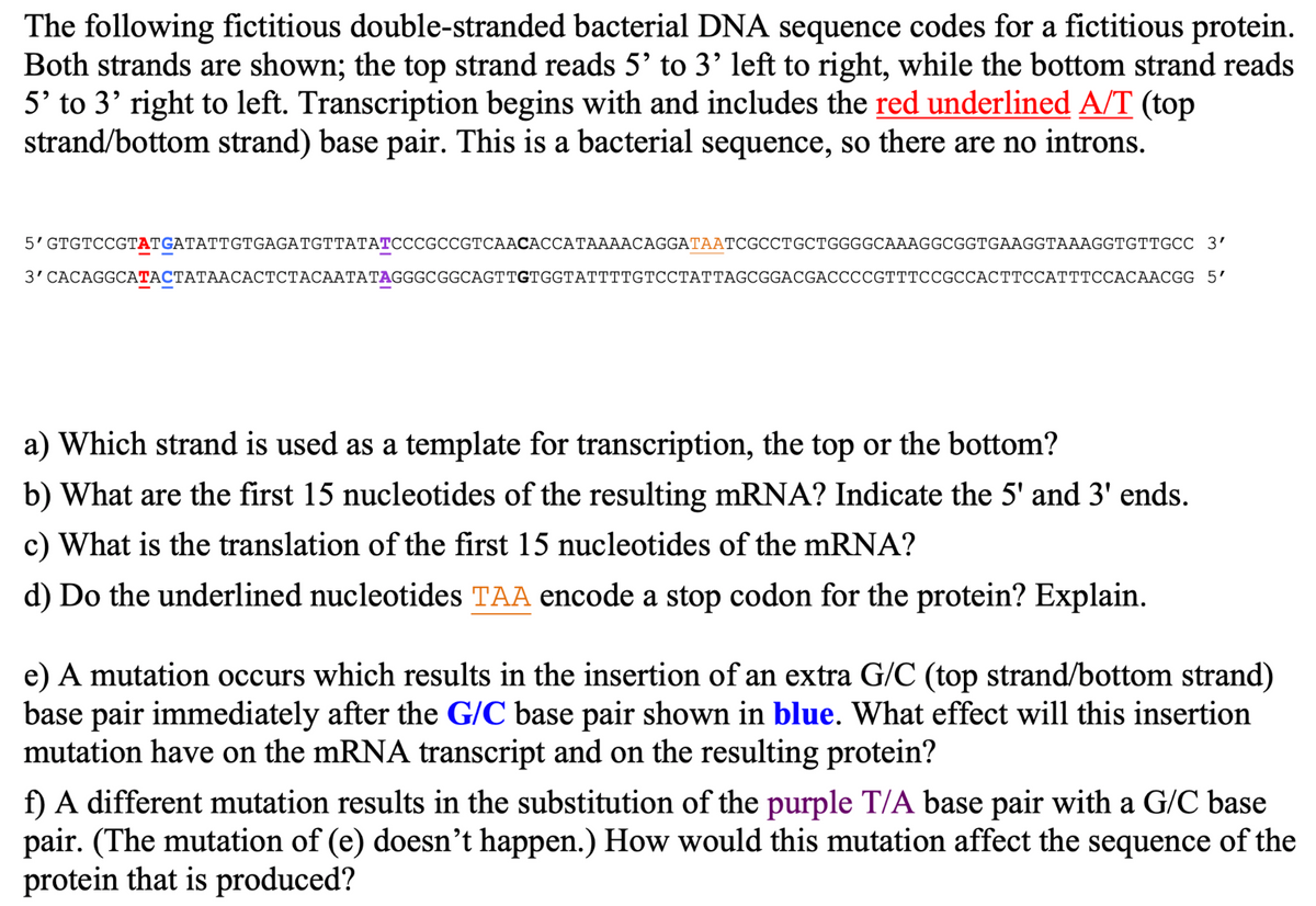 The following fictitious double-stranded bacterial DNA sequence codes for a fictitious protein.
Both strands are shown; the top strand reads 5' to 3' left to right, while the bottom strand reads
5' to 3' right to left. Transcription begins with and includes the red underlined A/T (top
strand/bottom strand) base pair. This is a bacterial sequence, so there are no introns.
5'GTGTCCGTATGATATTGTGAGATGTTATATCCCGCCGTCAACACCATAAAACAGGATAATCGCCTGCTGGGGCAAAGGCGGTGAAGGTAAAGGTGTTGCC
3′
3' CACAGGCATACTATAACACTCTACAATATAGGGCGGCAGTTGTGGTATTTTGTCCTAT TAGCGGACGACCCCGTTTCCGCCACTTCCATTTCCACAACGG 5′
a) Which strand is used as a template for transcription, the top or the bottom?
b) What are the first 15 nucleotides of the resulting mRNA? Indicate the 5' and 3' ends.
c) What is the translation of the first 15 nucleotides of the mRNA?
d) Do the underlined nucleotides TAA encode a stop codon for the protein? Explain.
e) A mutation occurs which results in the insertion of an extra G/C (top strand/bottom strand)
base pair immediately after the G/C base pair shown in blue. What effect will this insertion
mutation have on the mRNA transcript and on the resulting protein?
f) A different mutation results in the substitution of the purple T/A base pair with a G/C base
pair. (The mutation of (e) doesn't happen.) How would this mutation affect the sequence of the
protein that is produced?