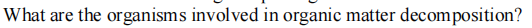 What are the organisms involved in organic matter decomposition?
