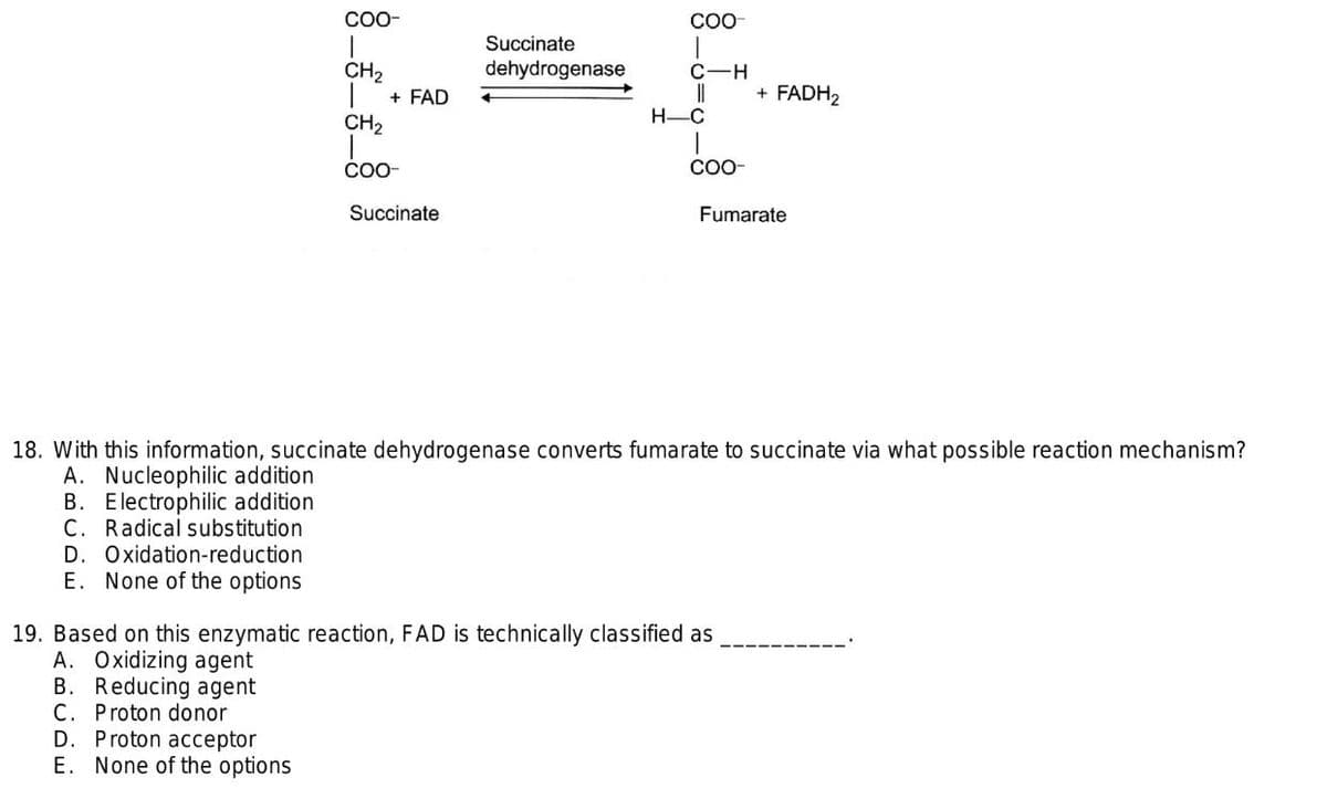 CO-
COO
Succinate
dehydrogenase
CH2
+ FAD
C-H
+ FADH2
H-C
CH2
C-
C-
Succinate
Fumarate
18. With this information, succinate dehydrogenase converts fumarate to succinate via what possible reaction mechanism?
A. Nucleophilic addition
B. Electrophilic addition
C. Radical substitution
D. Oxidation-reduction
E. None of the options
19. Based on this enzymatic reaction, FAD is technically classified as
A. Oxidizing agent
B. Reducing agent
C. Proton donor
D. Proton acceptor
E. None of the options
