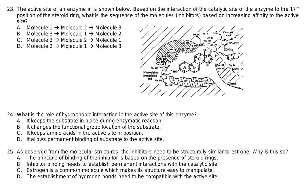 23. The active site of an enzyme in is shown below. Based on the interaction of the catalytic site of the enzyme to the 17th
position of the steroid ring, what is the sequence of the molecules (inhibitors) based on increasing affinity to the active
site?
A. Molecule 1 → Molecule 2 → Molecule 3
B. Molecule 3→ Molecule 1→ Molecule 2
C. Molecule 3 → Molecule 2 → Molecule 1
D. Molecule 2 → Molecule 1→ Molecule 3
Catalytic
end
Ile 14
Gly 13
The 190
NADP(H)
CONH,
Ho.
Tyr 153/
e 192 Gly 94
Met 193/
B.
Ou 282
Leu 9
Hydrophilic
recognition
end
His 221
218
S 222
Closed
24. What is the role of hydrophobic interaction in the active site of this enzyme?
A. It keeps the substrate in place during enzymatic reaction.
B. It changes the functional group location of the substrate.
C. It keeps amino acids in the active site in position.
D. It allows permanent binding of substrate to the active site.
25. As observed from the molecular structures, the inhibitors need to be structurally similar to estrone. Why is this so?
A. The principle of binding of the inhibitor is based on the presence of steroid rings.
B. Inhibitor binding needs to establish permanent interactions with the catalytic site.
C. Estrogen is a common molecule which makes its structure easy to manipulate.
D. The establis hment of hydrogen bonds need to be compatible with the active site.
