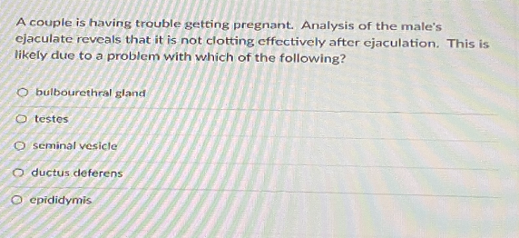 A couple is having trouble getting pregnant. Analysis of the male's
ejaculate reveals that it is not clotting effectively after ejaculation. This is
likely due to a problem with which of the following?
O bulbourethral gland
O testes
O seminal vesicle
O ductus deferens
O epididymis
