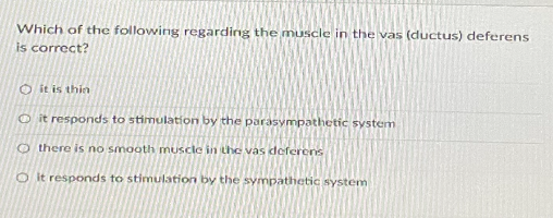 Which of the following regarding the muscle in the vas (ductus) deferens
is correct?
O it is thin
O it responds to stimulation by the parasympathetic system
O there is no smooth muscle in the vas deferens
O it responds to stimulation by the sympathetic system
