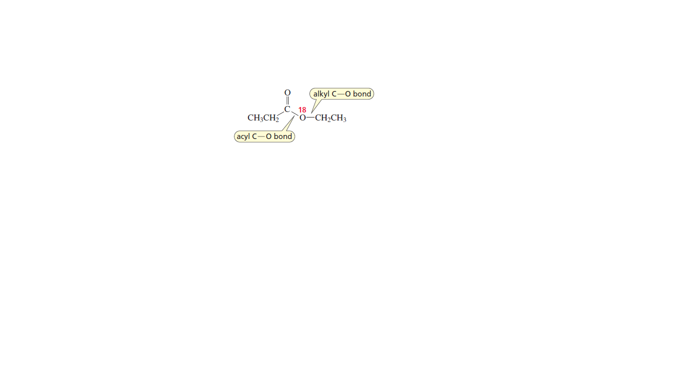 alkyl C —О bond)
CH;CH
С. 18
0-CH2CH3
аcyl C — О bond
