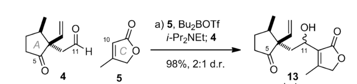 a) 5, BuzBOTf
i-Pr2NEt; 4
OH
10
A
|c
5
11 H
11
98%, 2:1 d.r.
4
5
13
