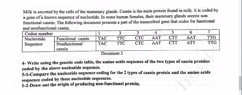Milk is secreted by the cells of the mammary glands. Casein is the main protein found in milk. It is coded by
a gene ofa known sequence of nucleotide. In some human females, their mammary glands secrete non
functional casein. The following document presents a part of the transcribed gene that codes for functional
and nonfunctional casein.
Codon number
Nucleotide
Sequence
1
TAC
ТАС
3
4
CTT
CTT
TTG
TTG
СТС
AAT
Functional casein
Nonfunctional
casein
TTC
AAT
TTC
CTC
AAT
АTT
Document 2
4- Write using the genetic code table, the amino acids sequence of the two types of casein proteins
coded by the above nucleotide sequence.
5-1-Compare the nucleotide sequence coding for the 2 types of casein protein and the amino acids
sequence coded by these nucleotide sequences.
5-2-Draw out the origin of producing non-functional protein.

