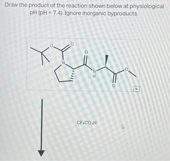 Draw the product of the reaction shown below at physiological
pH (pH = 7.4). Ignore inorganic byproducts.
Ji
N.
N
H
ΙΖ
CF3CO₂H
O
27