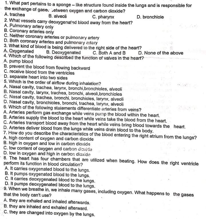 1. What part pertains to a sponge - like structure found inside the lungs and is responsible for
the exchange of gase etween oxygen and carbon dioxide?
A. trachea
B. alveoli
C. pharynx
D. bronchiole
2. What vessels carry deoxygenated blood away from the heart?
A. Pulmonary artery only
B. Coronary arteries only
C. Neither coronary arteries or pulmonary artery
D. Both coronary arteries and pulmonary artery
3. What kind of blood is being delivered to the right side of the heart?
A. Oxygenated
4. Which of the following described the function of valves in the heart?
A. pump blood
B. prevent the blood from flowing backward
C. receive blood from the ventricles
D. separate heart into two sides
5. Which is the order of airflow during inhalation?
A. Nasal cavity, trachea, larynx, bronchi,bronchioles, alveoli
B. Nasal cavity. larynx, trachea, bronchi, alveoli,bronchioles
C. Nasal cavity, trachea, bronchi, bronchioles, larynx, alveoli
D. Nasal cavity, bronchioles, bronchi, trachea, larynx, alveoli
6. Which of the following statements differentiate arteries from veins?
A. Arteries perform gas exchange while veins purmp the blood within the heart.
B. Arteries supply the blood to the heart while veins take the blood from the heart.
C. Arteries transport blood away from the heart while veins bring blood towards the heart.
D. Arteries deliver blood from the lungs while veins drain blood to the body.
7. How do you describe the characteristics of the blood entering the right atrium from the lungs?
A. high content of oxygen and carbon dioxide
B. high in oxygen and low in carbon dioxide
C. low content of oxygen and carbon dioxide
D. low in oxygen and high in carbon dioxide
8. The heart has four chambers that are utilized when beating. How does the right ventricle
perform its function in blood circulation?
A. It carries oxygenated blood to the lungs.
B. It pumps oxygenated blood to the lungs.
C. It carries deoxygenated blood to the lungs.
D. It pumps deoxygenated blood to the lungs.
9. When we breathe in, we inhale many gases, including oxygen. What happens to the gases
that the body can't use?
A. they are exhaled and inhaled afterwards.
B. they are inhaled and exhaled afterward.
C. they are changed into oxygen by the lungs.
B. Deoxygenated
C. Both A and B
D. None of the above
