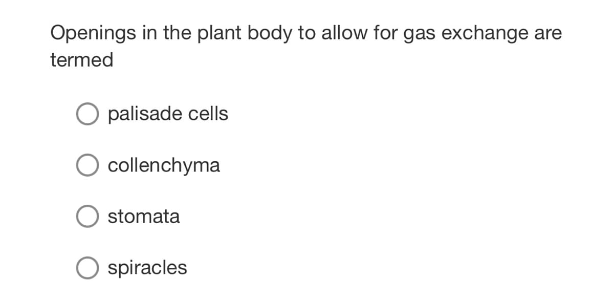 Openings in the plant body to allow for gas exchange are
termed
palisade cells
collenchyma
stomata
spiracles
