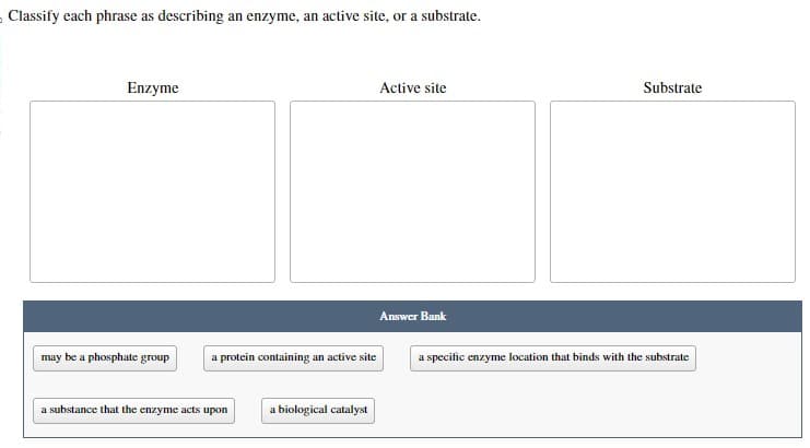 Classify each phrase as describing an enzyme, an active site, or a substrate.
Enzyme
may be a phosphate group
a protein containing an active site
a substance that the enzyme acts upon
a biological catalyst
Active site
Answer Bank
Substrate
a specific enzyme location that binds with the substrate