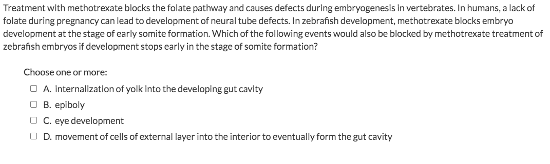 Treatment with methotrexate blocks the folate pathway and causes defects during embryogenesis in vertebrates. In humans, a lack of
folate during pregnancy can lead to development of neural tube defects. In zebrafish development, methotrexate blocks embryo
development at the stage of early somite formation. Which of the following events would also be blocked by methotrexate treatment of
zebrafish embryos if development stops early in the stage of somite formation?
Choose one or more:
O A. internalization of yolk into the developing gut cavity
O B. epiboly
O C. eye development
O D. movement of cells of external layer into the interior to eventually form the gut cavity
