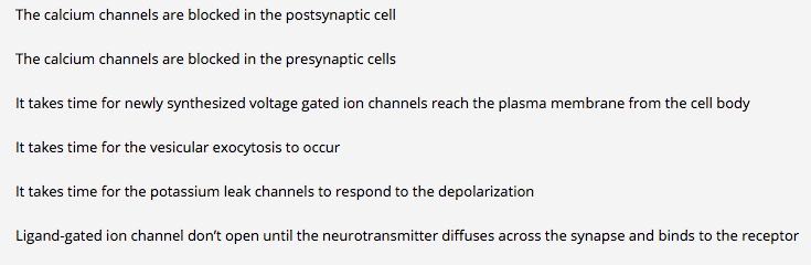 The calcium channels are blocked in the postsynaptic cell
The calcium channels are blocked in the presynaptic cells
It takes time for newly synthesized voltage gated ion channels reach the plasma membrane from the cell body
It takes time for the vesicular exocytosis to occur
It takes time for the potassium leak channels to respond to the depolarization
Ligand-gated ion channel don't open until the neurotransmitter diffuses across the synapse and binds to the receptor
