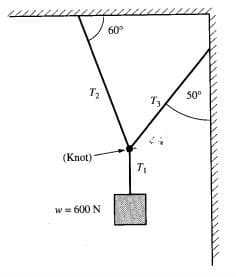 60°
50°
(Knot)
T
w = 600 N
