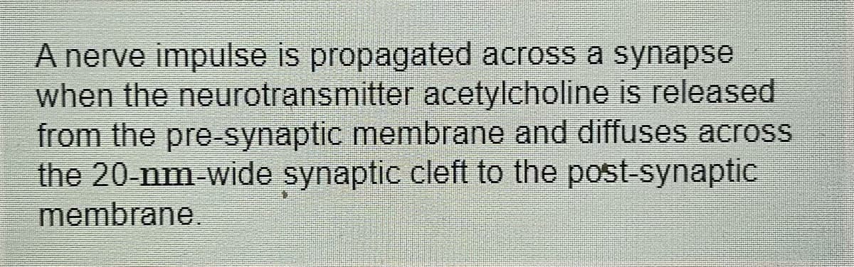 A nerve impulse is propagated across a synapse
when the neurotransmitter acetylcholine is released
from the pre-synaptic membrane and diffuses across
the 20-nm wide synaptic cleft to the post-synaptic
membrane.
