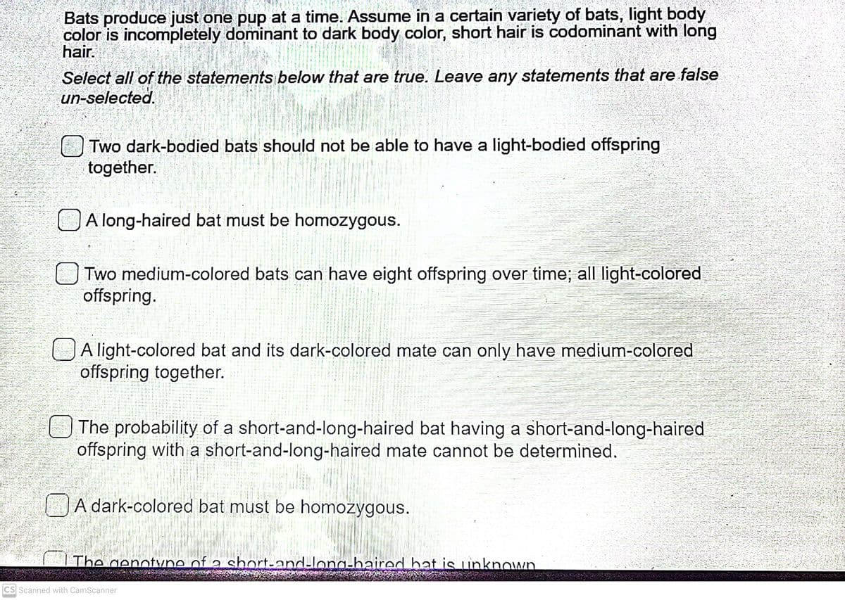 Bats produce just one pup at a time. Assume in a certain variety of bats, light body
color is incompletely dominant to dark body color, short hair is codominant with long
hair.
Select all of the statements below that are true. Leave any statements that are false
un-selected.
Two dark-bodied bats should not be able to have a light-bodied offspring
together.
A long-haired bat must be homozygous.
O Two medium-colored bats can have eight offspring over time; all light-colored
offspring.
A light-colored bat and its dark-colored mate can only have medium-colored
offspring together.
l ti
The probability of a short-and-long-haired bat having a short-and-long-haired
offspring with a short-and-long-haired mate cannot be determined.
A dark-colored bat must be homozygous.
The genotvne of a short-and-long-haired bat is unknown
CS Scanned with CamScanner
