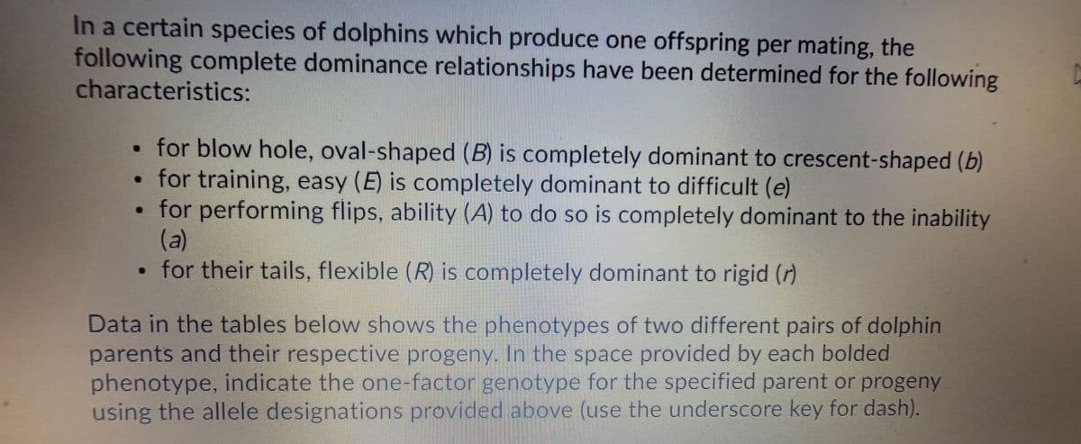 ### Dominance Relationships in a Certain Species of Dolphins

In a certain species of dolphins which produce one offspring per mating, the following complete dominance relationships have been determined for the following characteristics:

- **Blow Hole Shape**
  - **Oval-shaped (B)** is completely dominant to **crescent-shaped (b)**.

- **Training**
  - **Easy (E)** is completely dominant to **difficult (e)**.

- **Performance of Flips**
  - **Ability to perform flips (A)** is completely dominant to **inability (a)**.

- **Tail Flexibility**
  - **Flexible (R)** is completely dominant to **rigid (r)**.

### Data and Genotype Determination

Data in the tables below show the phenotypes of two different pairs of dolphin parents and their respective progeny. In the space provided by each bolded phenotype, indicate the one-factor genotype for the specified parent or progeny using the allele designations provided above (use the underscore key for dash).

**Note:** Unfortunately, the tables showing the data are not included in this text. Be sure to reference the respective table and fill out the genotypes as per the given dominance relationships.