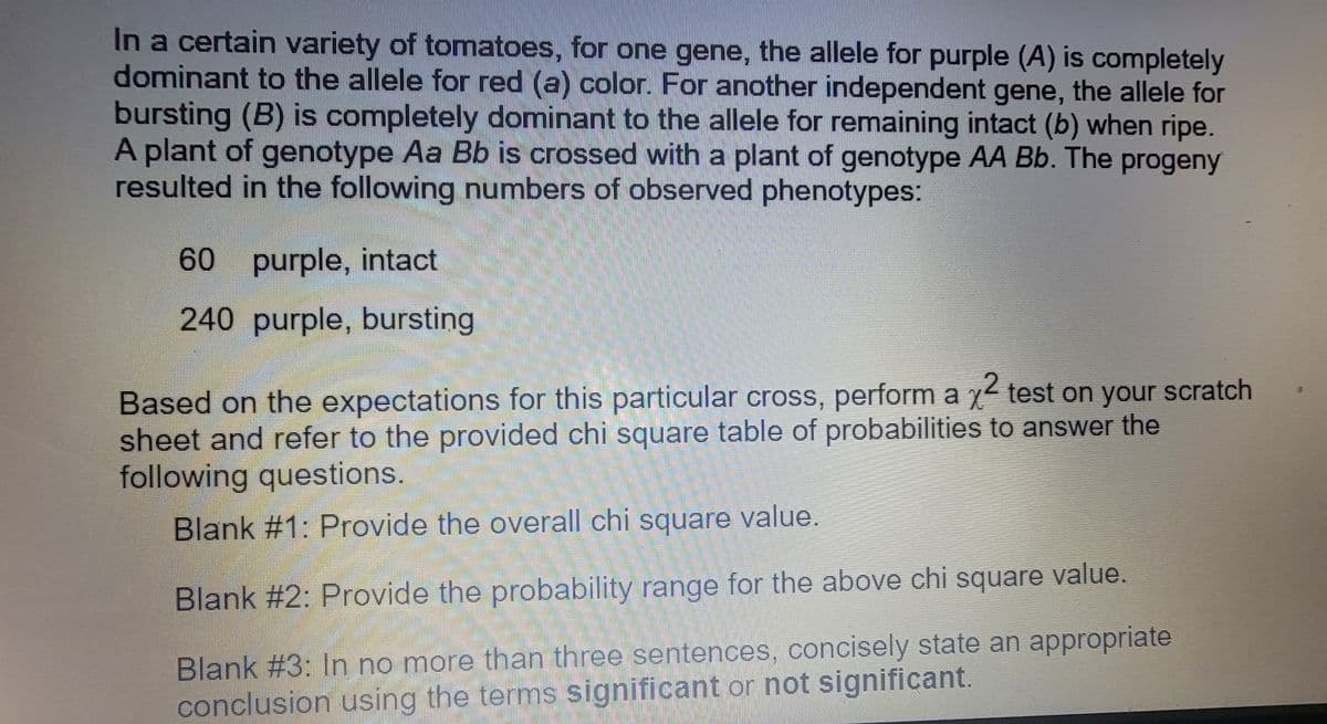 ### Genetic Analysis of Tomato Phenotypes

In a certain variety of tomatoes, for one gene, the allele for purple (A) is completely dominant to the allele for red (a) color. For another independent gene, the allele for bursting (B) is completely dominant to the allele for remaining intact (b) when ripe. A plant of genotype **Aa Bb** is crossed with a plant of genotype **AA Bb**. The progeny resulted in the following numbers of observed phenotypes:

- **60** purple, intact
- **240** purple, bursting

### Instructions for Chi-square Test

Based on the expectations for this particular cross, perform a \(\chi^2\) test on your scratch sheet and refer to the provided chi-square table of probabilities to answer the following questions:

#### Blank #1: Provide the overall chi square value.

#### Blank #2: Provide the probability range for the above chi square value.

#### Blank #3: In no more than three sentences, concisely state an appropriate conclusion using the terms **significant** or **not significant**.