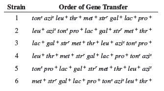 Strain
Order of Gene Transfer
1
ton azi leu+ thr + met + str" gal+ lac+ pro+
leut azi ton pro+ lac+ gal+ str met+ thr
3
lac+ gal + str met + thr+ leu + azi ton
pro
4
leu+ thr+ met + str" gal + lac+ pro+ ton azi
5
ton' pro* lac * gal+ str met + thr+ leu+ azi"
6.
met + str' gal + lac+ pro+ ton azi leu+ thr+
