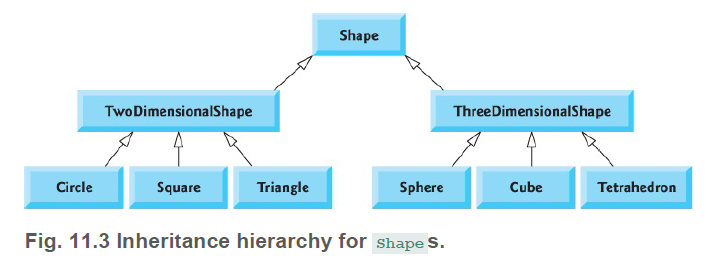 Shape
TwoDimensionalShape
ThreeDimensionalShape
Circle
Square
Triangle
Sphere
Cube
Tetrahedron
Fig. 11.3 Inheritance hierarchy for shape S.
