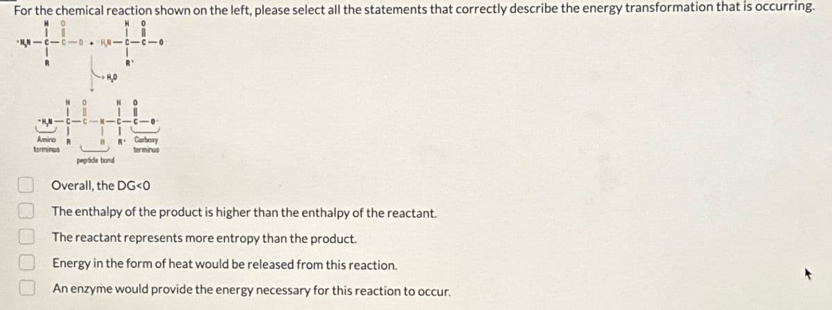 For the chemical reaction shown on the left, please select all the statements that correctly describe the energy transformation that is occurring.
NO
HO
H-C-C-0
но
R'
-H-
-C-N-C-C-0
Amiro R
R Carbory
terminus
terminus
peptide bond
000
Overall, the DG<0
The enthalpy of the product is higher than the enthalpy of the reactant.
The reactant represents more entropy than the product.
Energy in the form of heat would be released from this reaction.
An enzyme would provide the energy necessary for this reaction to occur.