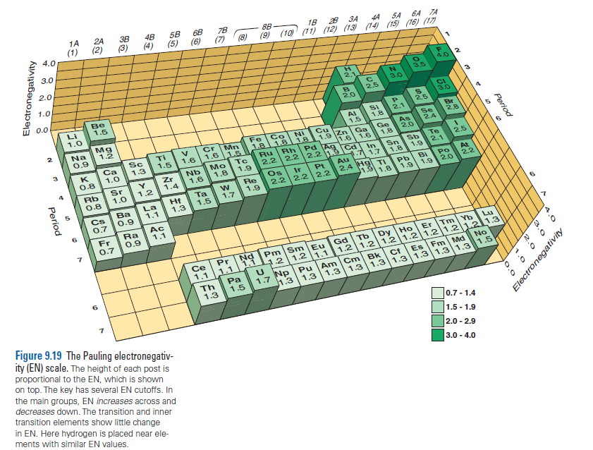 1A
2A
3B
4B
(1)
(2)
(3)
5B
68
78
(4)
(5) (6)
8B
18
28 3A
(9) (10)' (11) (12) (13) (14) (15) (16) (17)
4.0
(7)
(8)
44
5A
6A TA
3.0
2.0
F
4.0
2.
1.0
2,1
3,5
3.0
0.0
2.5
Li
1.0
Be
1.5
B
2.0
CI
3.0
2.5
AI
1.5
Si
1.8
2.1
Na
0.9
Mg
1.2
Se
24
Br
2,8
NI
As
Fe
1.8
Cu
Cr
Mn
1.6 15
Co
1,8
Rh
2.2
Sc
1.3
Ti
1.5
18 1.9 Zn Ga
1.6
1.6
Cd
Ge
1.8 20
1.6
Ca
1.0
Ag
K
Ru
2.2
Pd
Mo
1.8
Sn
1.8
Te
2.1
2.5
0.8
2.2 19
In
Nb
1.6
1.9
Zr
1.4
1.9
Sr
1.0
A 1,7
2A 31.8
Au
Rb
0.8
Os
2.2
Pt
2.2 2.2
At
2.2
1.2
Ir
Hg
Bi
Po
Re
1.9
Pb
1.9 1.9 2.0
TI
w
1.7
Ta
Hf
1.3
La
1.5
Ba
0.9
Cs
1.1
0.7
6.
Ra
0.9
Ac
1.1
Fr
0.7
Er Tm Yb Lu
1.21.21.2 1.21.21.2 1.2 1.3
Es Fm Md
Dy Ho
Ce
1.1
Pr Nd Pm Sm Eu Gd Tb
1.1
1.1
1.21.2 1.1
No
Am Cm Bk
1.3
Cf
Th
1.3
Pa
1.5
Np
Pu
1.7
1.3 1.3 1.31.31.31,31.5
1.31.3
Figure 9.19 The Pauling electronegativ-
ity (EN) scale. The height of each post is
proportional to the EN, which is shown
on top. The key has several EN cutoffs. In
0.7 - 1.4
1.5 - 1.9
2.0 - 2.9
3.0 - 4.0
the main groups, EN increases across and
decreases down. The transition and inner
transition elements show little change
in EN. Here hydrogen is placed near ele-
ments with similar EN values.
Period
o.C
Electronegativity
Electronegativity
Period
