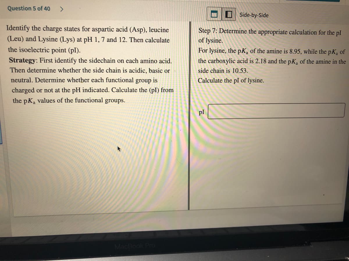 Question 5 of 40
<>
Side-by-Side
Identify the charge states for aspartic acid (Asp), leucine
(Leu) and Lysine (Lys) at pH 1, 7 and 12. Then calculate
the isoelectric point (pI).
Step 7: Determine the appropriate calculation for the pl
of lysine.
For lysine, the pKa of the amine is 8.95, while the pKa of
the carboxylic acid is 2.18 and the pK, of the amine in the
Strategy: First identify the sidechain on each amino acid.
Then determine whether the side chain is acidic, basic or
side chain is 10.53.
neutral. Determine whether each functional group is
Calculate the pI of lysine.
charged or not at the pH indicated. Calculate the (pI) from
the pKa values of the functional groups.
pI
MacBook Pro
