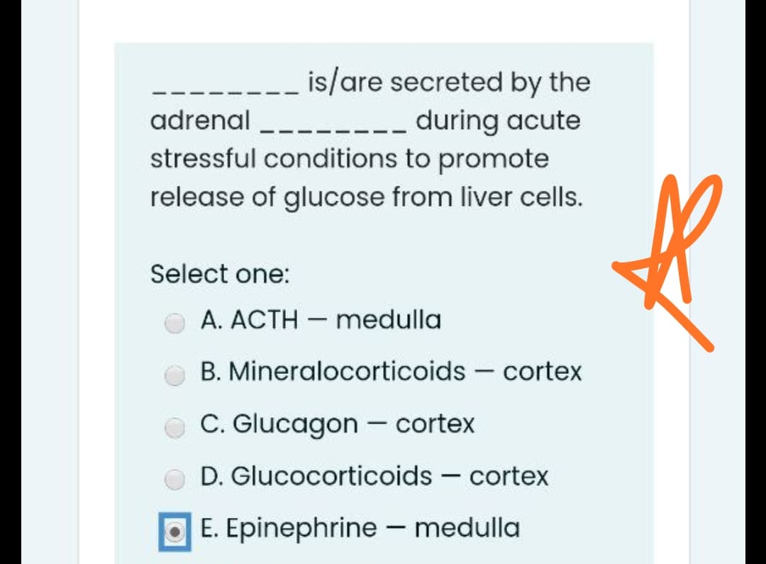 is/are secreted by the
-- during acute
stressful conditions to promote
adrenal
release of glucose from liver cells.
Select one:
A. ACTH - medulla
B. Mineralocorticoids - cortex
O C. Glucagon - cortex
|
D. Glucocorticoids - cortex
O E. Epinephrine – medulla
