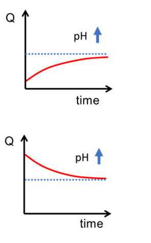 pH 1
time
Q
pH 1
time
