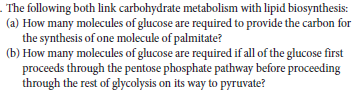 - The following both link carbohydrate metabolism with lipid biosynthesis:
(a) How many molecules of glucose are required to provide the carbon for
the synthesis of one molecule of palmitate?
(b) How many molecules of glucose are required if all of the glucose first
proceeds through the pentose phosphate pathway before proceeding
through the rest of glycolysis on its way to pyruvate?
