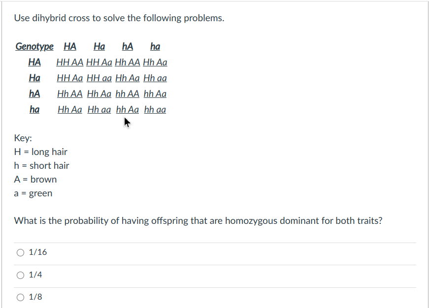 Use dihybrid cross to solve the following problems.
Genotype HA
На
hA
ha
НА
ННАА ННАа Нh AA Hh Aa
На
ННАа НН аa Hh Aa Hh aa
hA
Hh AA Hh Aa hh AA hh Aa
ha
Hh Aa Hh ga hh Aa hh a
Key:
H = long hair
h = short hair
A = brown
a = green
What is the probability of having offspring that are homozygous dominant for both traits?
O 1/16
O 1/4
O 1/8
