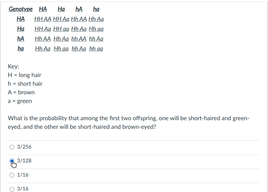 Genotype HA
На
hA
ha
НА
НН АА НН Аа Hh AA Hh Aa
На
НН Аa НН аa Hh Aa Hh aa
hA
Hh AA Hh Aa hh AA hh Aa
ha
Hh Aa Hh aa hh Aa hh aa
Кey:
H = long hair
h = short hair
A = brown
a = green
What is the probability that among the first two offspring, one will be short-haired and green-
eyed, and the other will be short-haired and brown-eyed?
3/256
3/128
O 1/16
О 3/16
