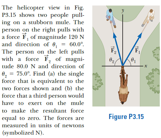 The helicopter view in Fig.
P3.15 shows two people pull-
ing on a stubborn mule. The
person on the right pulls with
a force F, of magnitude 120 N
and direction of 0, = 60.0°.
The person on the left pulls
with a force F, of magni-
F.
F1
tude 80.0 N and direction of
0, = 75.0°. Find (a) the single
force that is equivalent to the
two forces shown and (b) the
force that a third person would
have to exert on the mule
to make the resultant force
equal to zero. The forces are
Figure P3.15
measured in units of newtons
(symbolized N).
