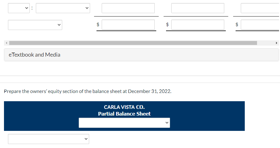 eTextbook and Media
LA
LA
Prepare the owners' equity section of the balance sheet at December 31, 2022.
CARLA VISTA CO.
Partial Balance Sheet
LA