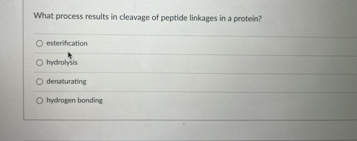 What process results in cleavage of peptide linkages in a protein?
O esterification
O hydrolysis
O denaturating
O hydrogen bonding
