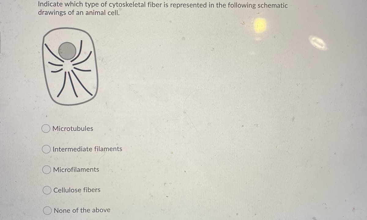 Indicate which type of cytoskeletal fiber is represented in the following schematic
drawings of an animal cell.
Microtubules
O Intermediate filaments
Microfilaments
Cellulose fibers
None of the above
