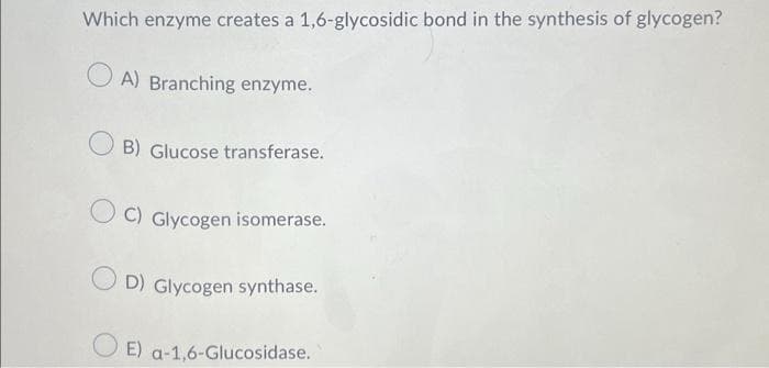 Which enzyme creates a 1,6-glycosidic bond in the synthesis of glycogen?
A) Branching enzyme.
OB) Glucose transferase.
C) Glycogen isomerase.
D) Glycogen synthase.
E) a-1,6-Glucosidase.