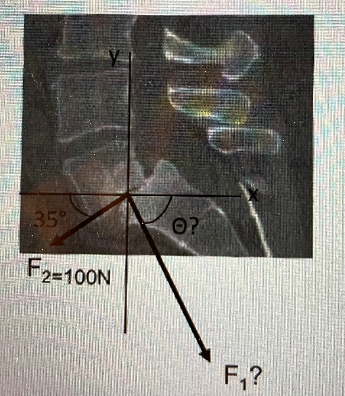 35°
0?
F,
' 2=100N
F,?
