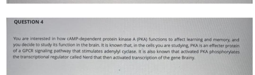 QUESTION 4
You are interested in how CAMP-dependent protein kinase A (PKA) functions to affect learning and memory, and
you decide to study its function in the brain. It is known that, in the cells you are studying, PKA is an effecter protein
of a GPCR signaling pathway that stimulates adenylyl cyclase. It is also known that activated PKA phosphorylates
the transcriptional regulator called Nerd that then activated transcription of the gene Brainy.
