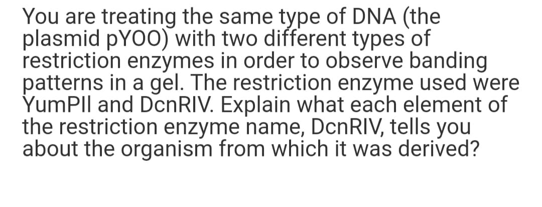 You are treating the same type of DNA (the
plasmid pYO0) with two different types of
restriction enzymes in order to observe banding
patterns in a gel. The restriction enzyme used were
YumPIl and DcnRIV. Explain what each element of
the restriction enzyme name, DcnRIV, tells you
about the organism from which it was derived?
