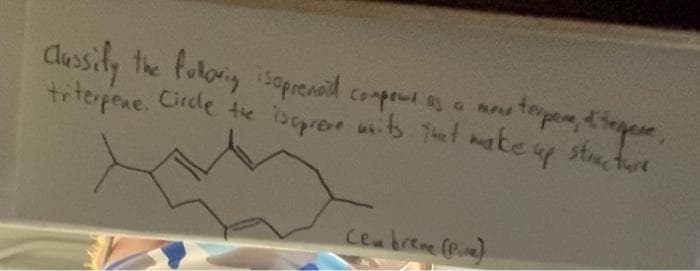 Clessily the foloriy isaprenid.compont os o an tepen, ttapene
trterpene. Circde te ibepree uib tet ake y stutwe
Cenbrene (Pe)
