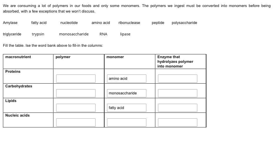 We are consuming a lot of polymers in our foods and only some monomers. The polymers we ingest must be converted into monomers before being
absorbed, with a few exceptions that we won't discuss.
Amylase
fatty acid
nucleotide
amino acid
ribonuclease
peptide
polysaccharide
triglyceride
trypsin
monosaccharide
RNA
lipase
Fill the table. Ise the word bank above to fill-in the columns:
macronutrient
polymer
Enzyme that
hydrolyzes polymer
into monomer
monomer
Proteins
amino acid
Carbohydrates
monosaccharide
Lipids
fatty acid
Nucleic acids
